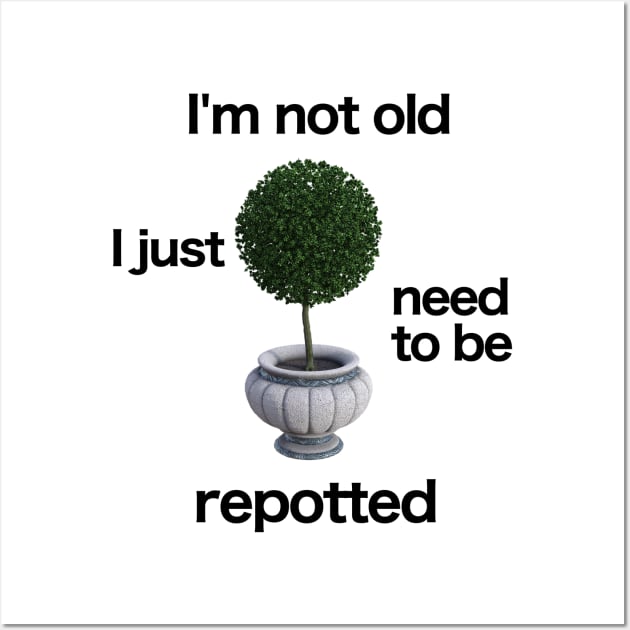 I'm not old. I just need to be repotted. Wall Art by Humoratologist